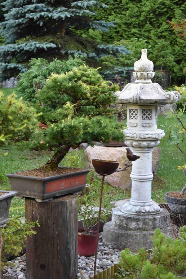 Ogrod Shinrin Yoku Odpoczynek W Lesie Villa Srokowo Bagian luar foto